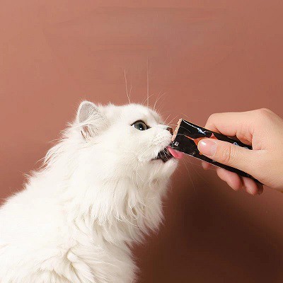 پالتو جانوروں کے ناشتے